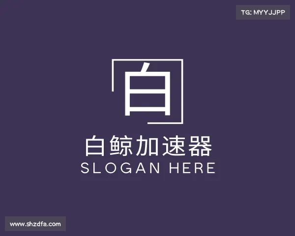 认识白鲸加速器